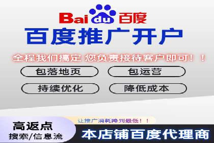 百度推广在电商领域的应用：成功提升销售额的秘诀